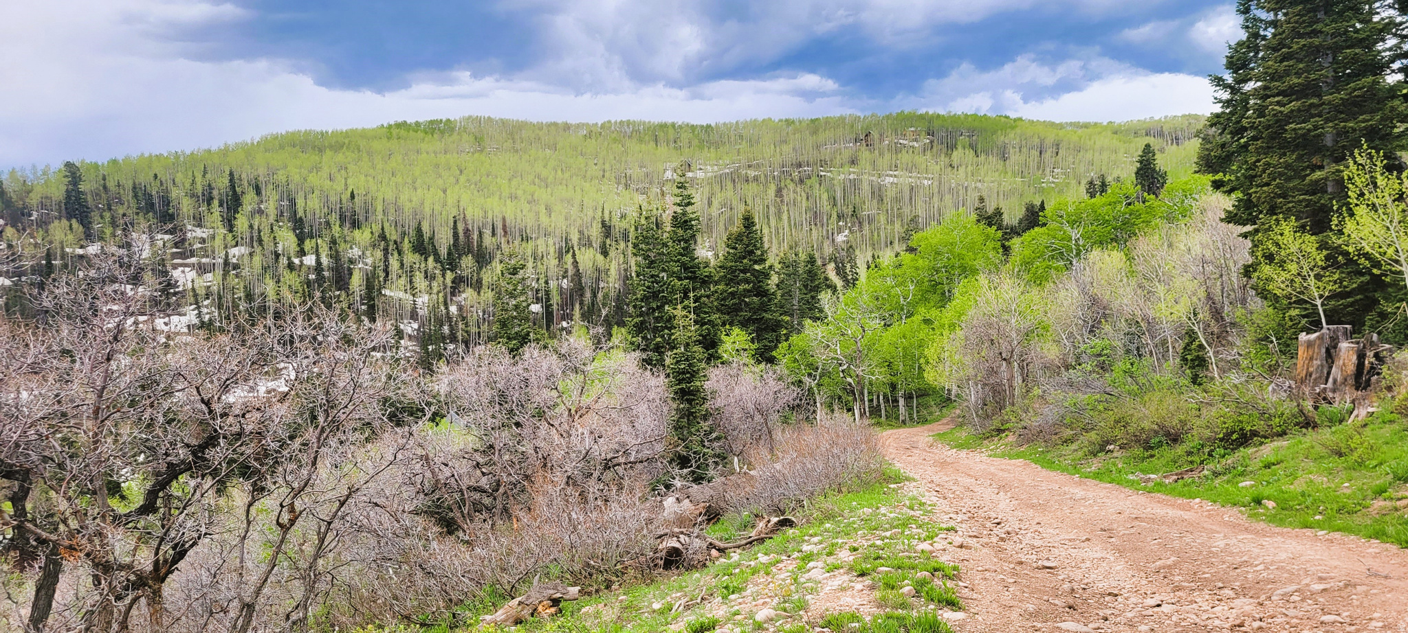 PINE MEADOW RANCH - Land