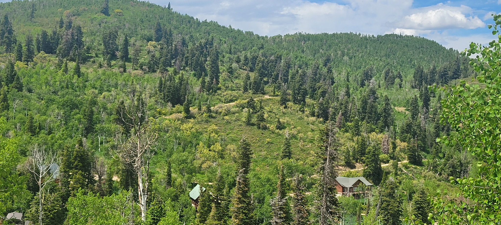 PINE MEADOW RANCH - Land