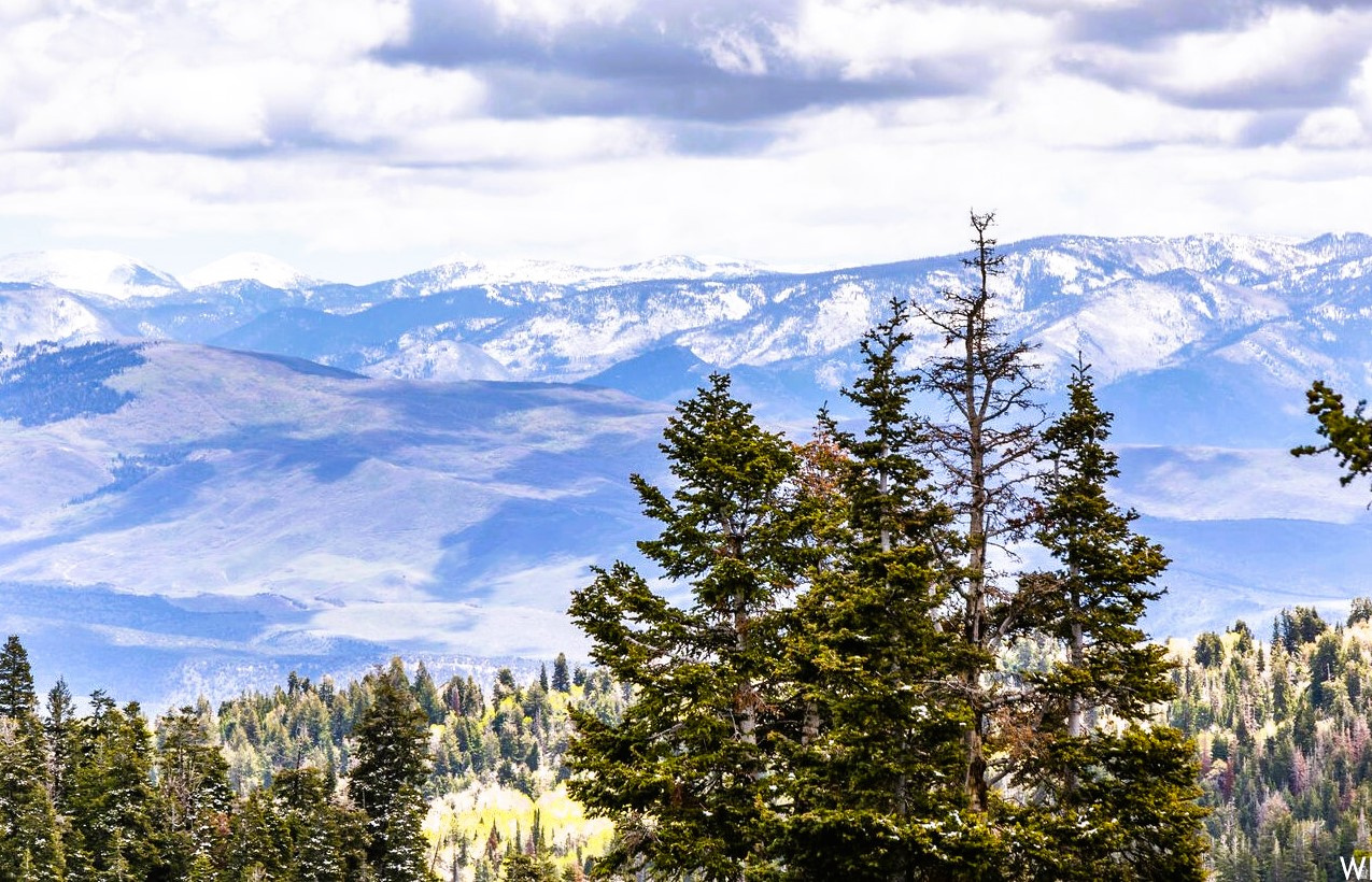 PINE MEADOW RANCH - Land