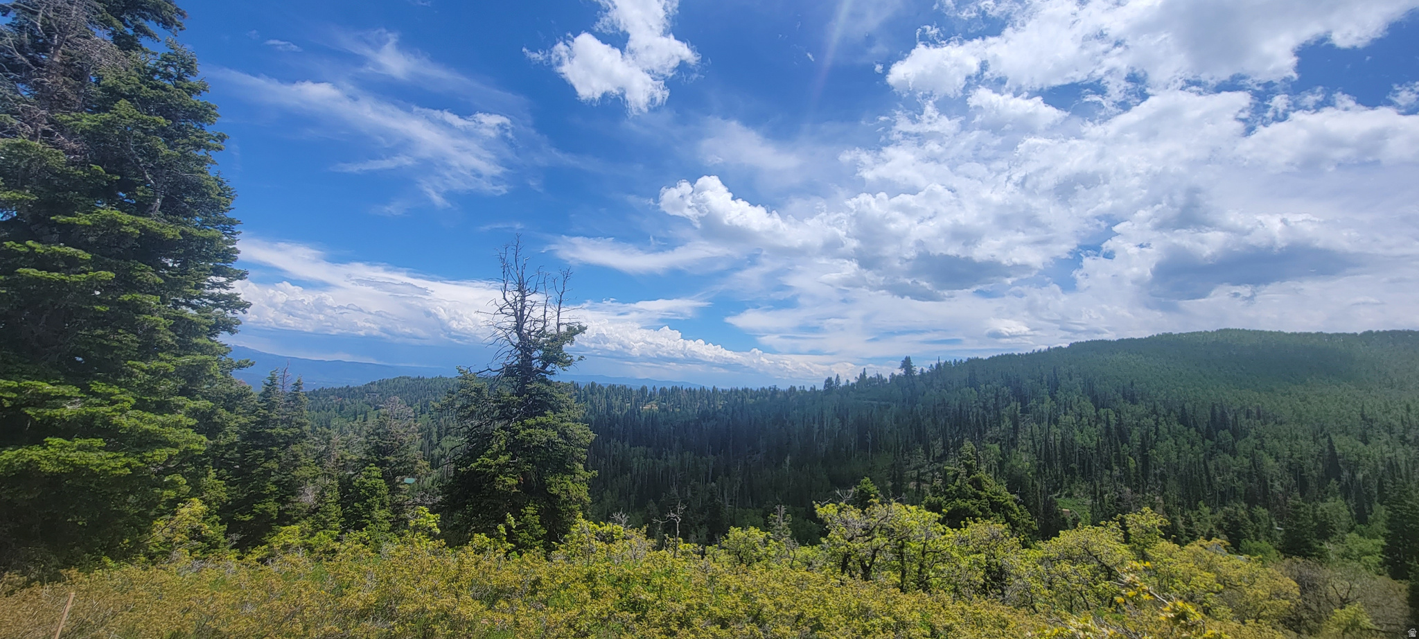 PINE MEADOW RANCH - Land