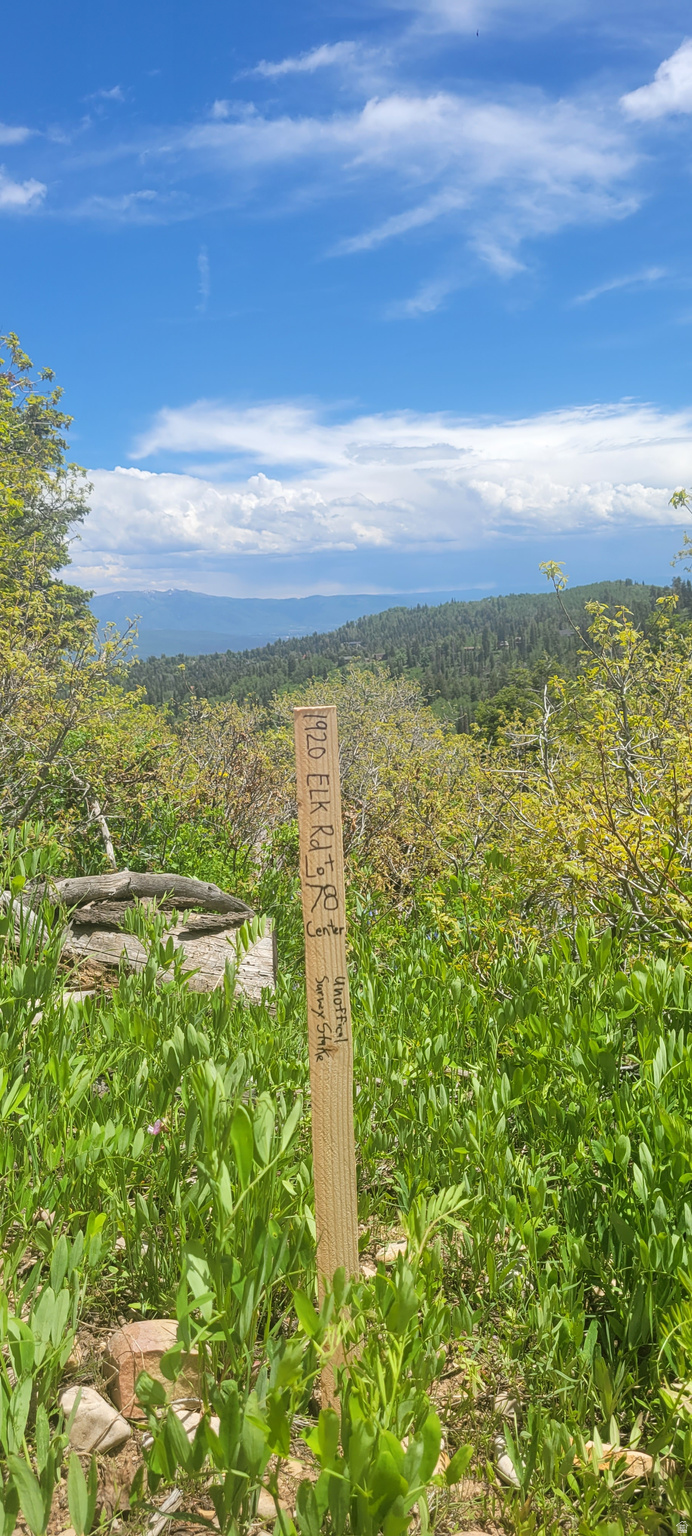 PINE MEADOW RANCH - Land