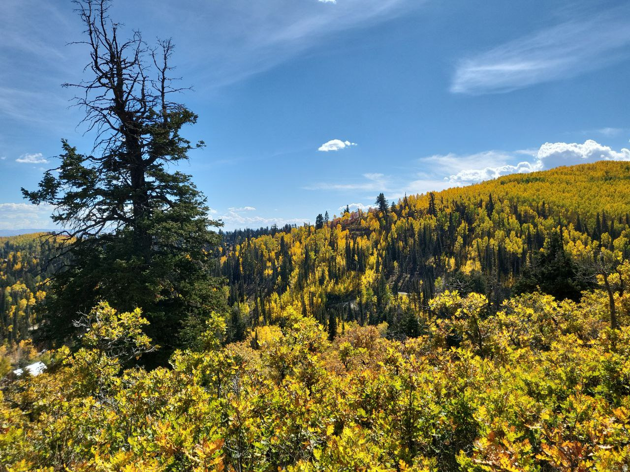 PINE MEADOW RANCH - Land