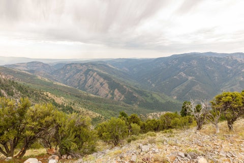 Tiny photo for 80 SCARE CYN, Paradise, UT 84328 (MLS # 2174091)