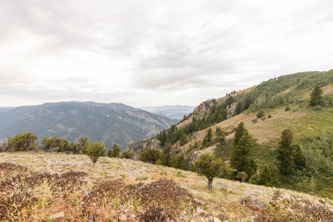 Tiny photo for 80 SCARE CYN, Paradise, UT 84328 (MLS # 2174091)