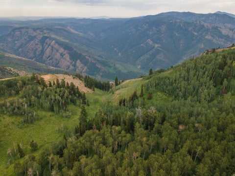 Tiny photo for 80 SCARE CYN, Paradise, UT 84328 (MLS # 2174091)
