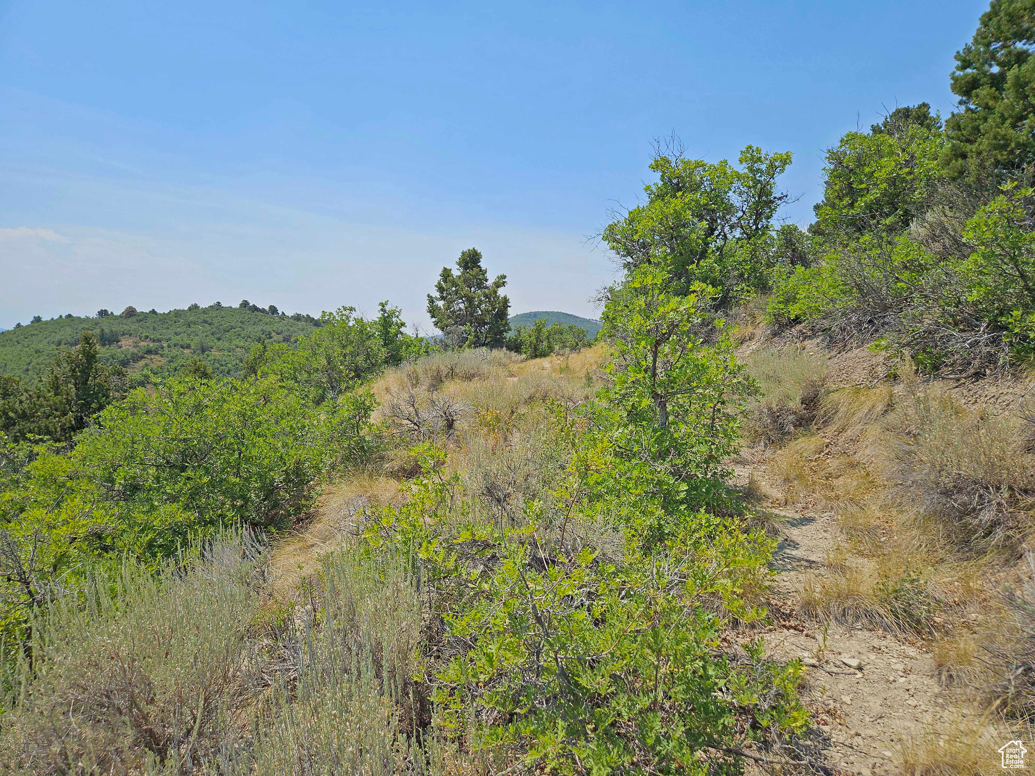 HIDEAWAY VALLEY - Land