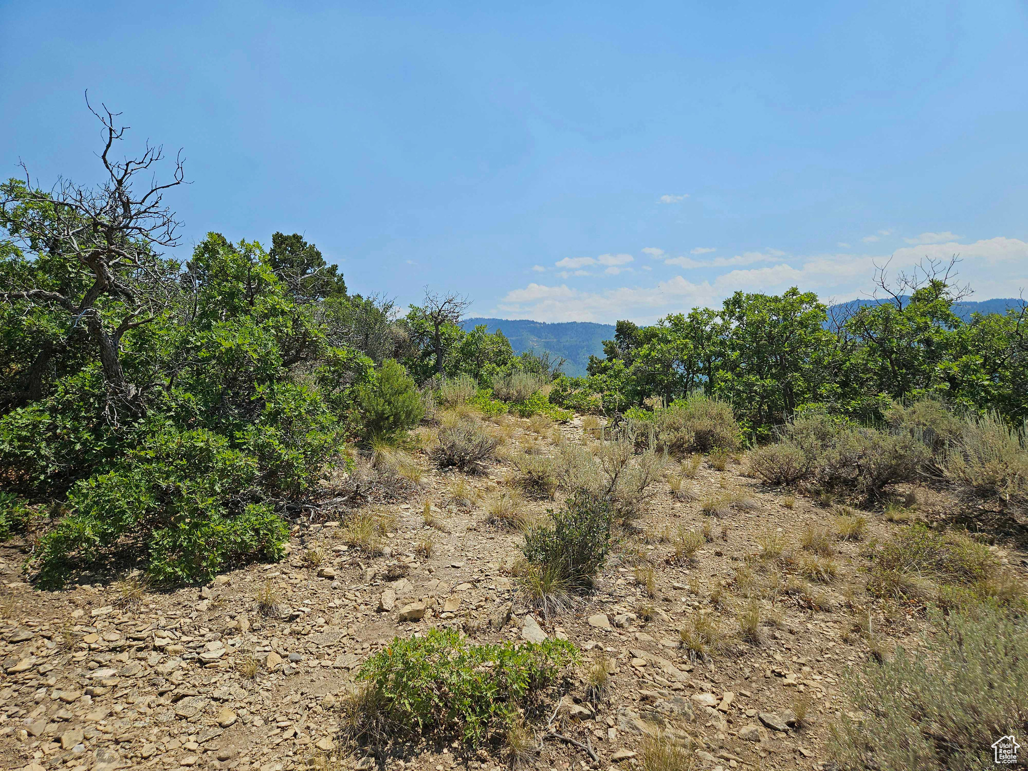 HIDEAWAY VALLEY - Land