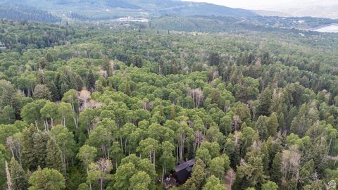 Tiny photo for 11152 E GREEN BRIAR RD #460, Heber City, UT 84032 (MLS # 2102716)