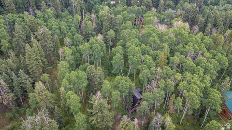 Tiny photo for 11152 E GREEN BRIAR RD #460, Heber City, UT 84032 (MLS # 2102716)