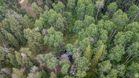 Tiny photo for 11152 E GREEN BRIAR RD #460, Heber City, UT 84032 (MLS # 2102716)