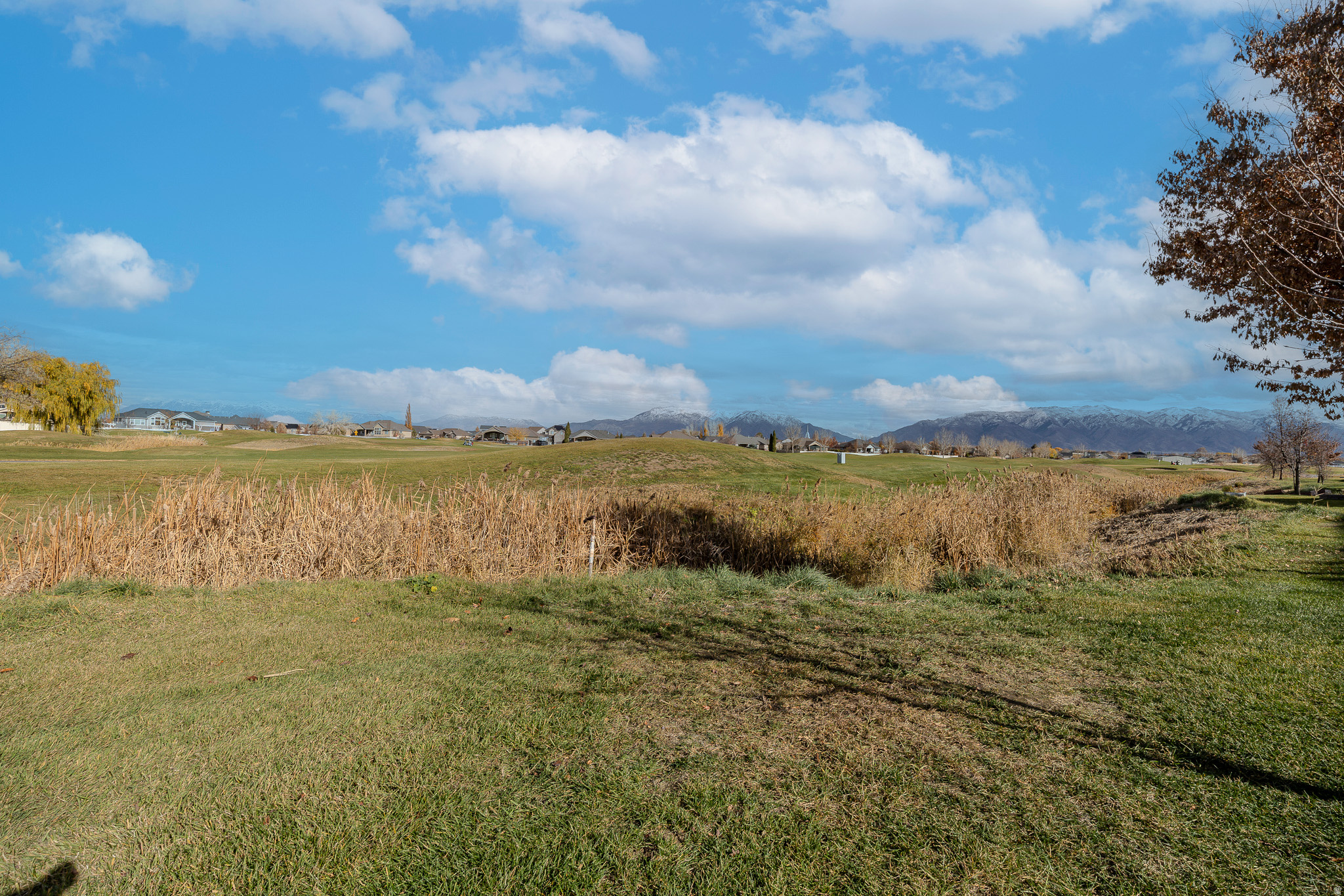 CROFTERS COVE - Residential