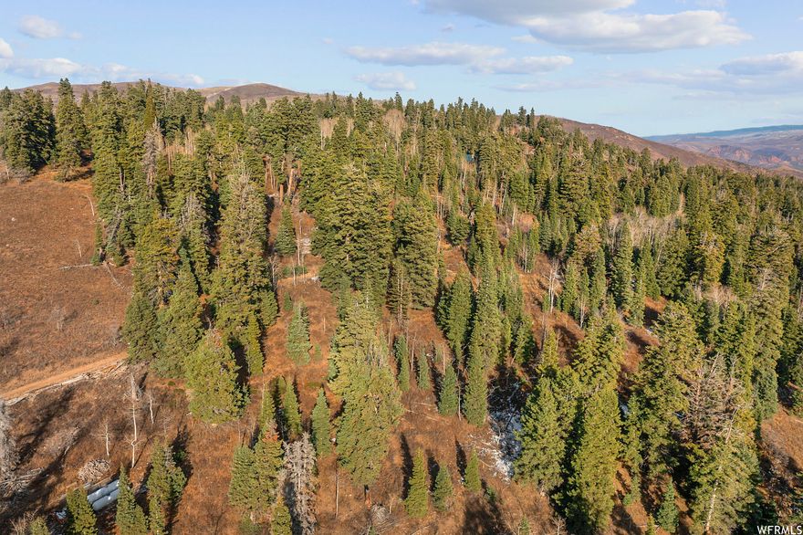 Nestled just past Park City, off I-80E exit #150 in Tollgate Canyon, this 10.5-acre cabin haven lot offers stunning views with extreme privacy and plenty of space on your own land for backcountry activities such as snowmobiling, mountain biking and hiking right from your doorstep, this property is an outdoor enthusiast's paradise. There are multiple sites for your cozy mountain cabin retreat, surrounded by diverse trees and natural vegetation. Live and play immersed in the beauty of the wilderness. Don't miss this rare opportunity to own your outdoor escape in the pristine mountain setting of Tollgate Canyon. Water and power options are available.