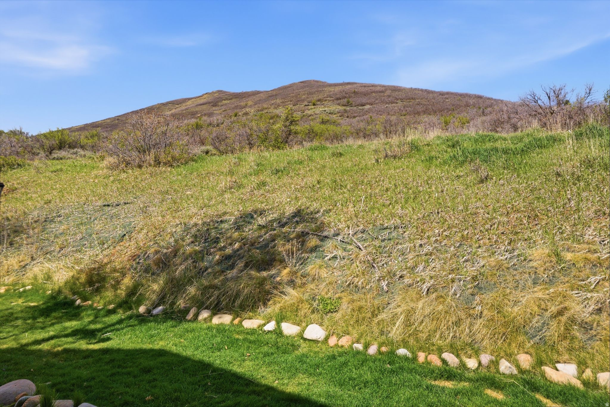 SWISS OAKS CONDOMINIUMS - Residential