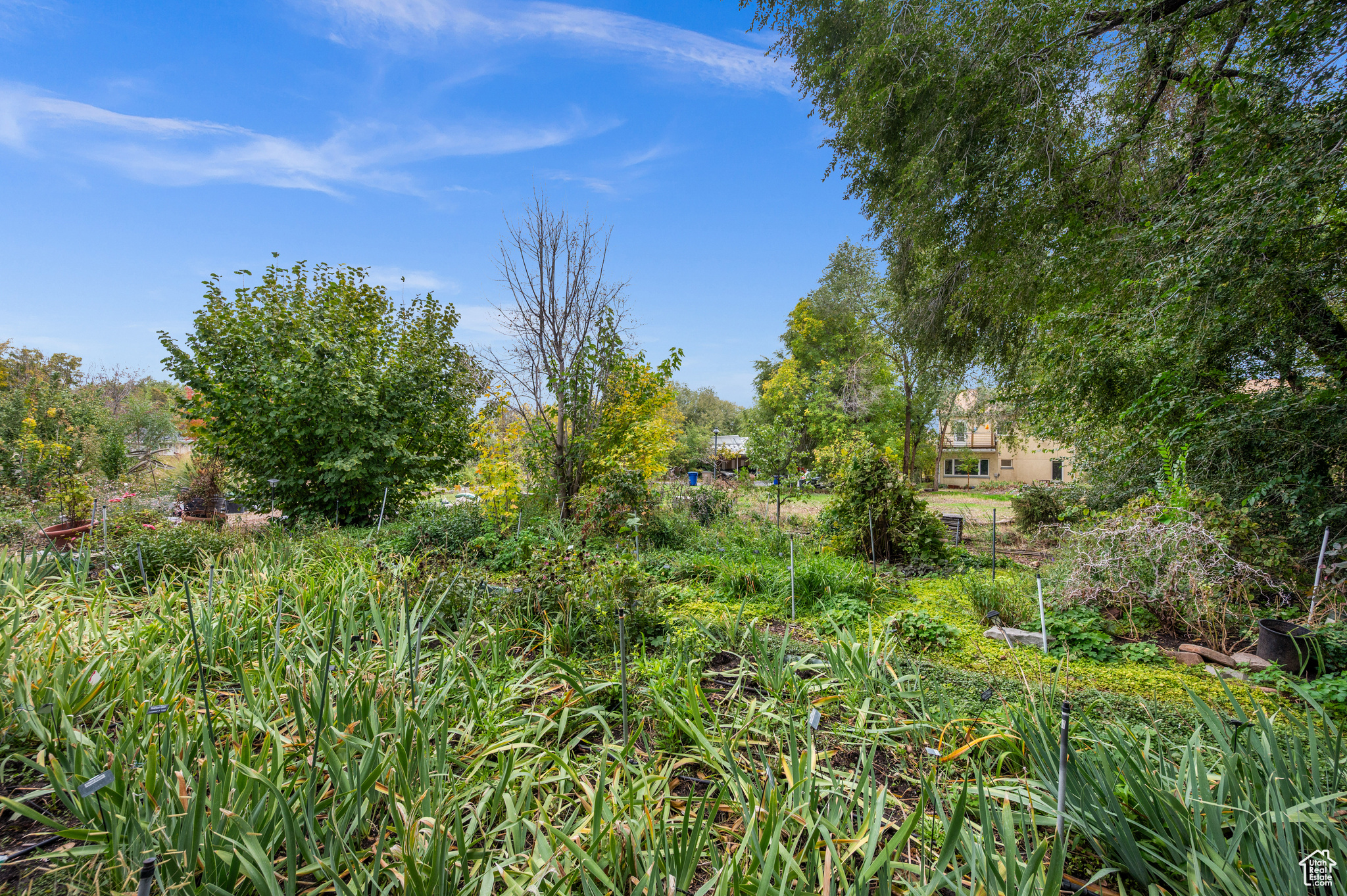 WASATCH COMMONS COHOUSING - Residential