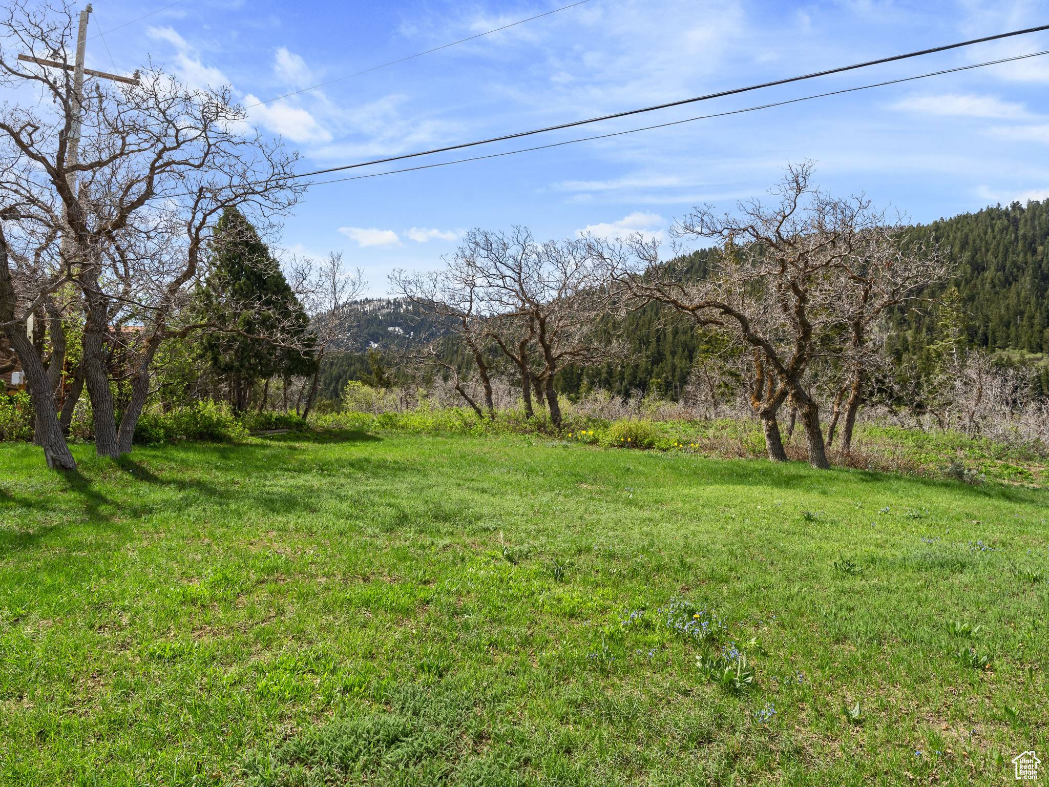 360 Crestview Dr, Park City, Utah image 38