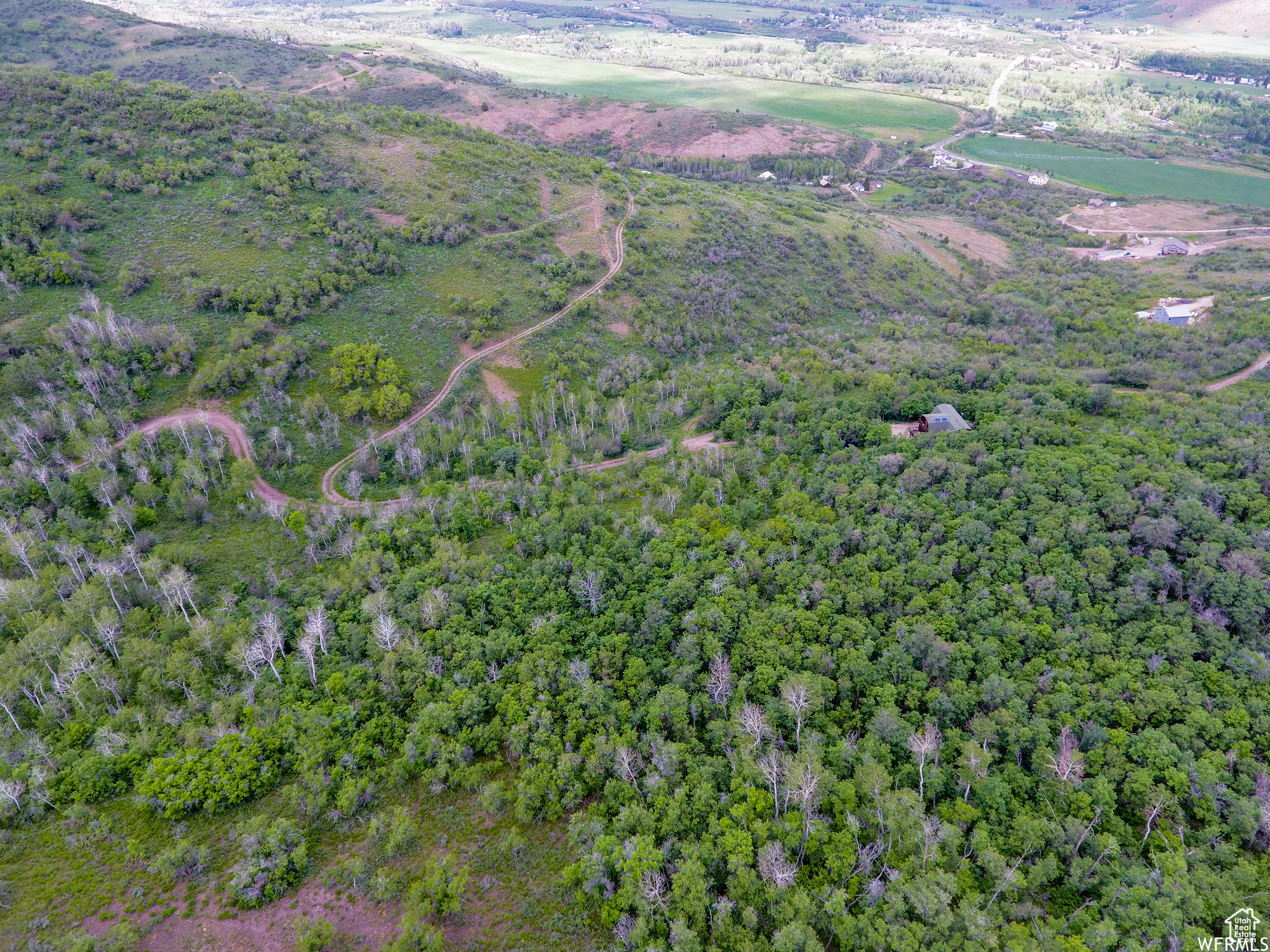 WOODLAND - Land