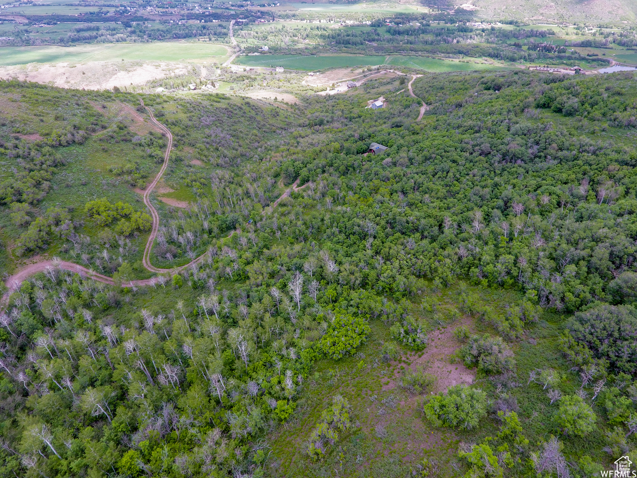 WOODLAND - Land
