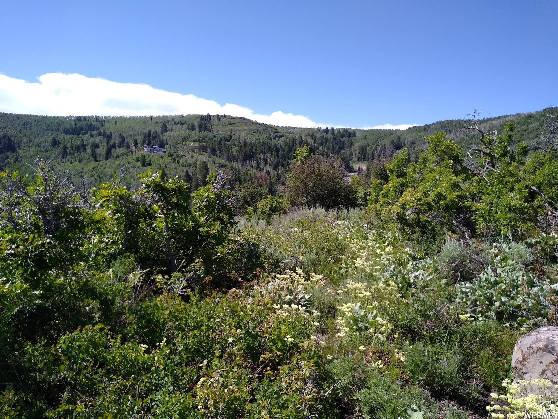 WOODLAND - Land