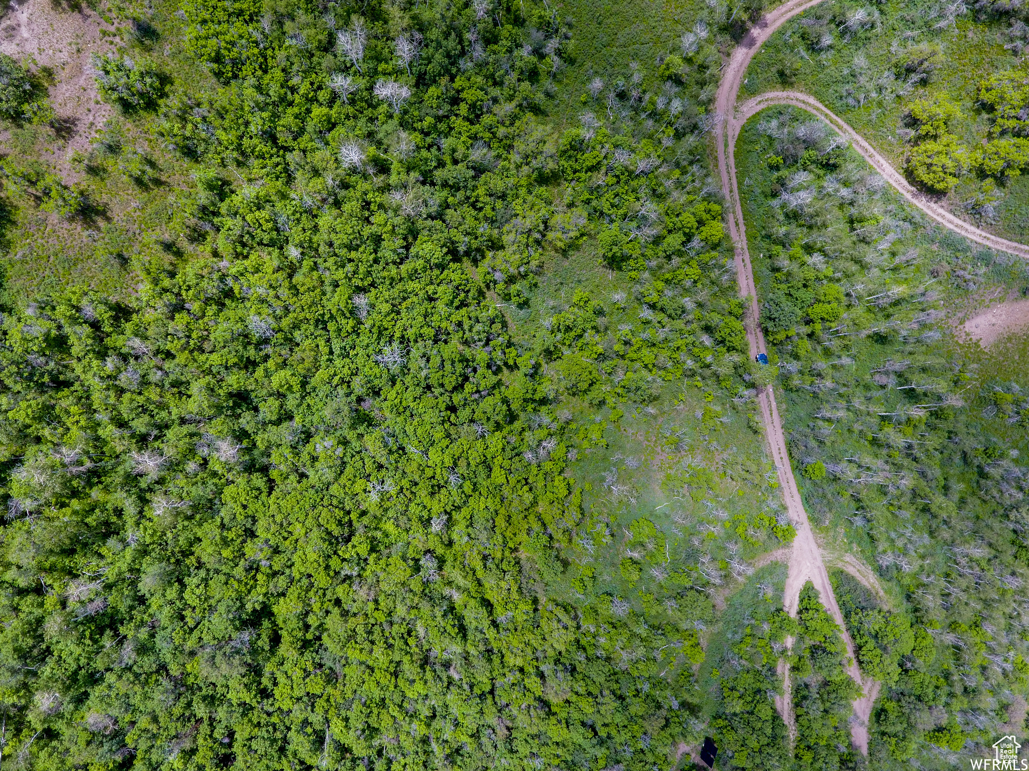 WOODLAND - Land