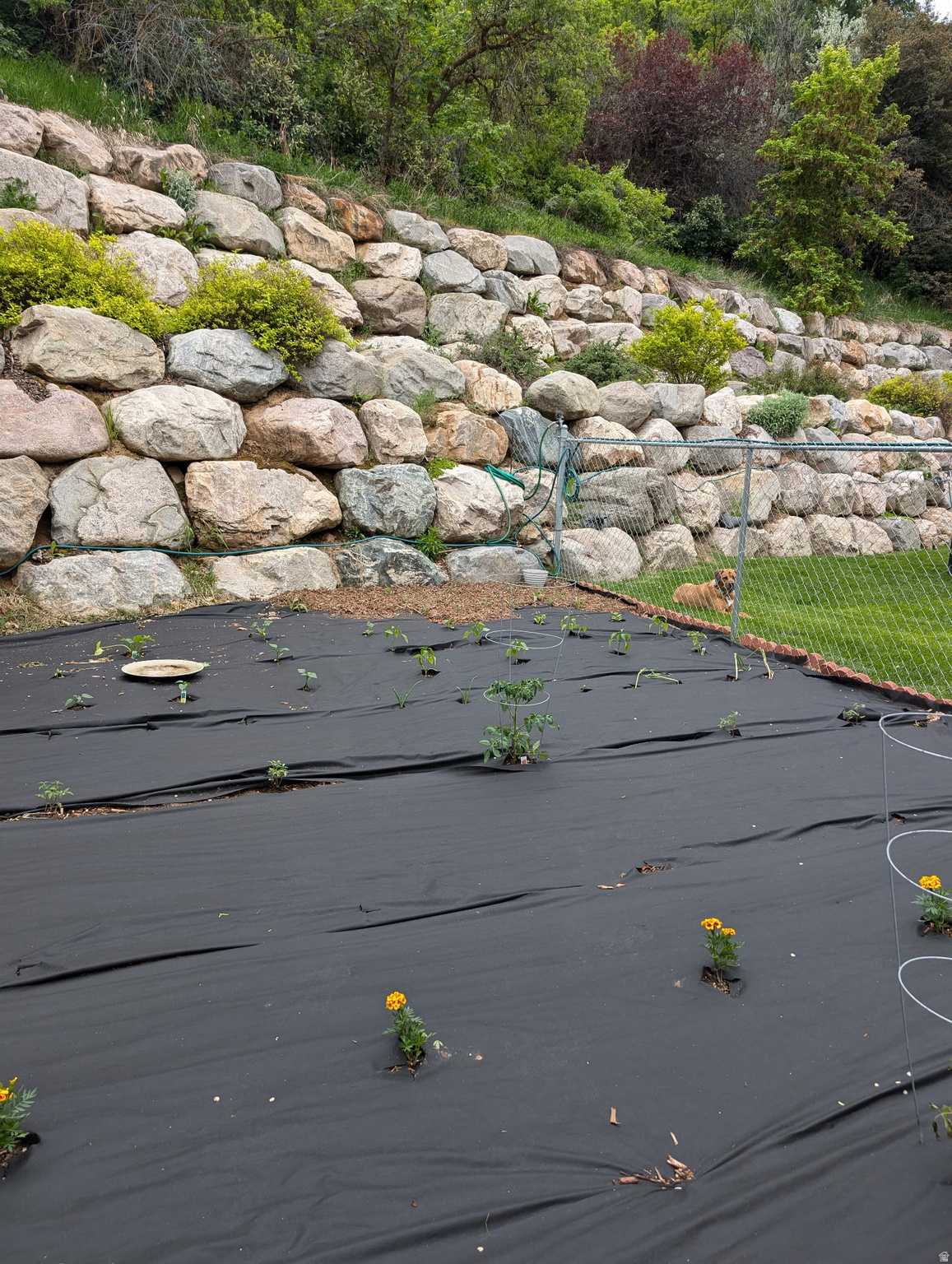 OAK CREEK ESTATES - Residential