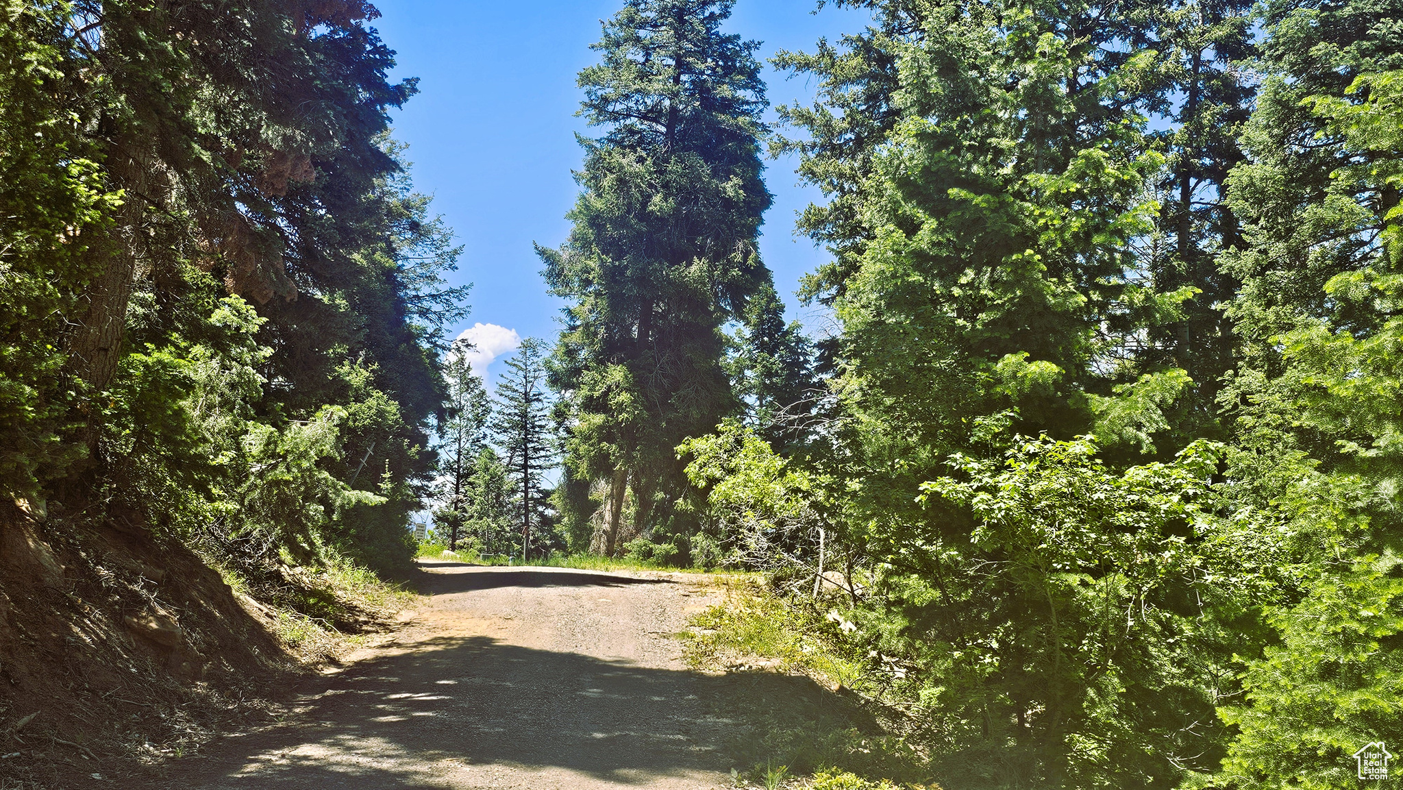 PINE CREEK RANCH - Land