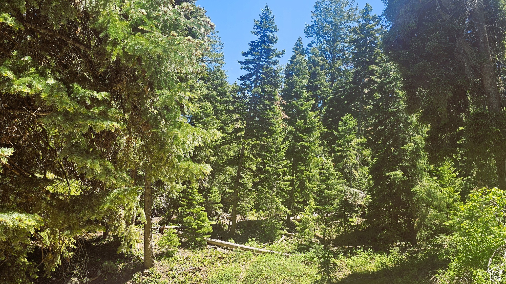 PINE CREEK RANCH - Land