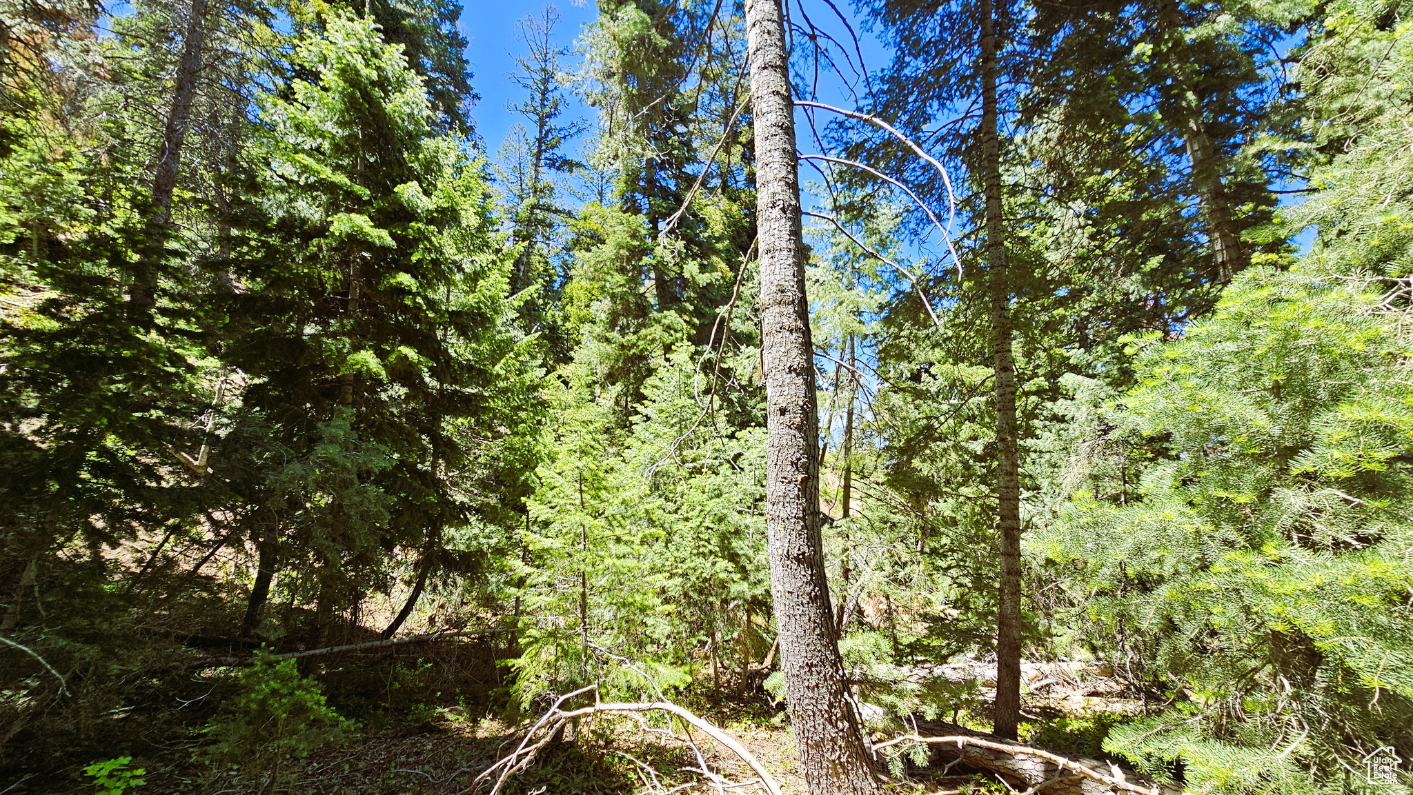PINE CREEK RANCH - Land