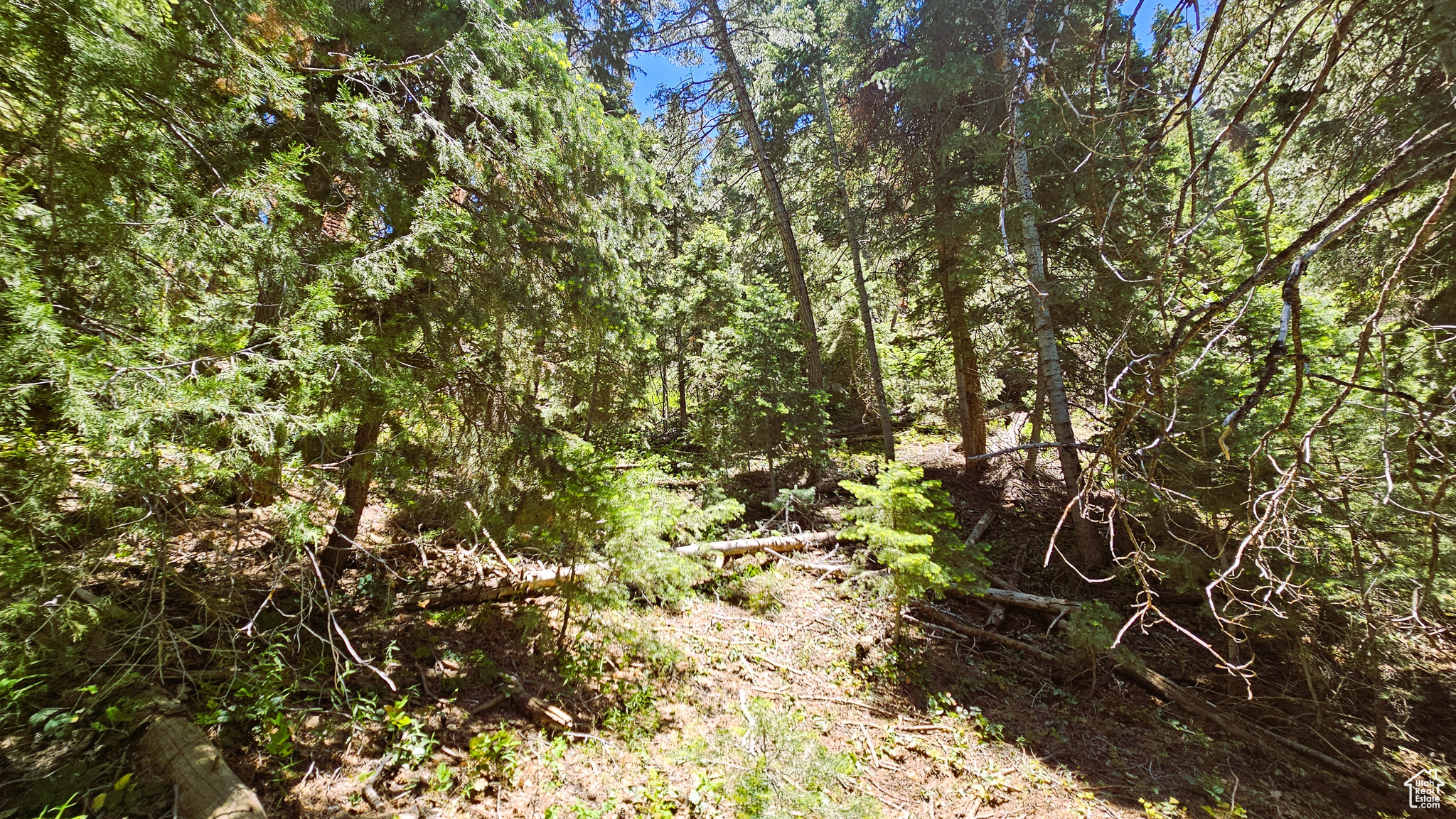 PINE CREEK RANCH - Land