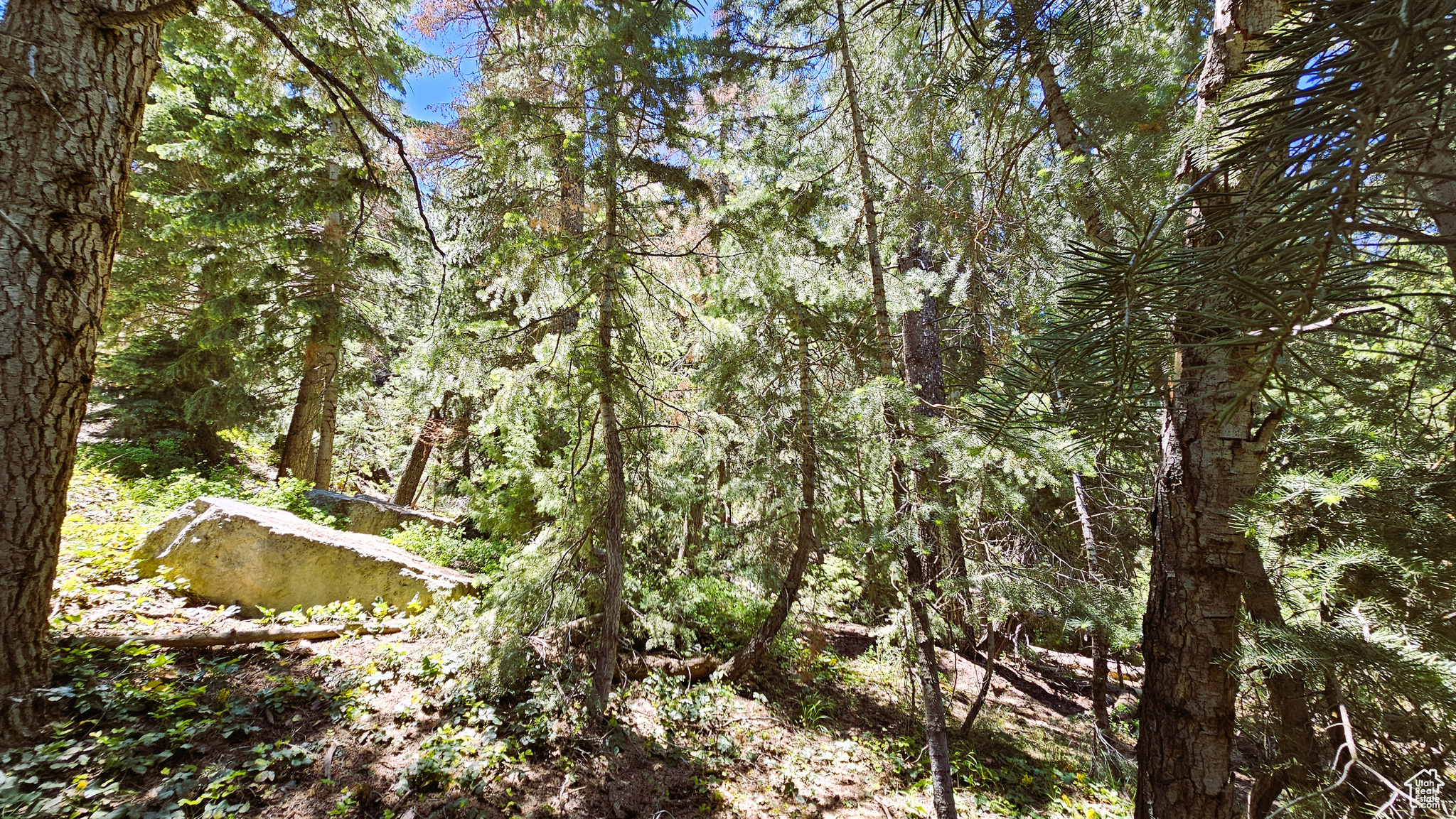 PINE CREEK RANCH - Land