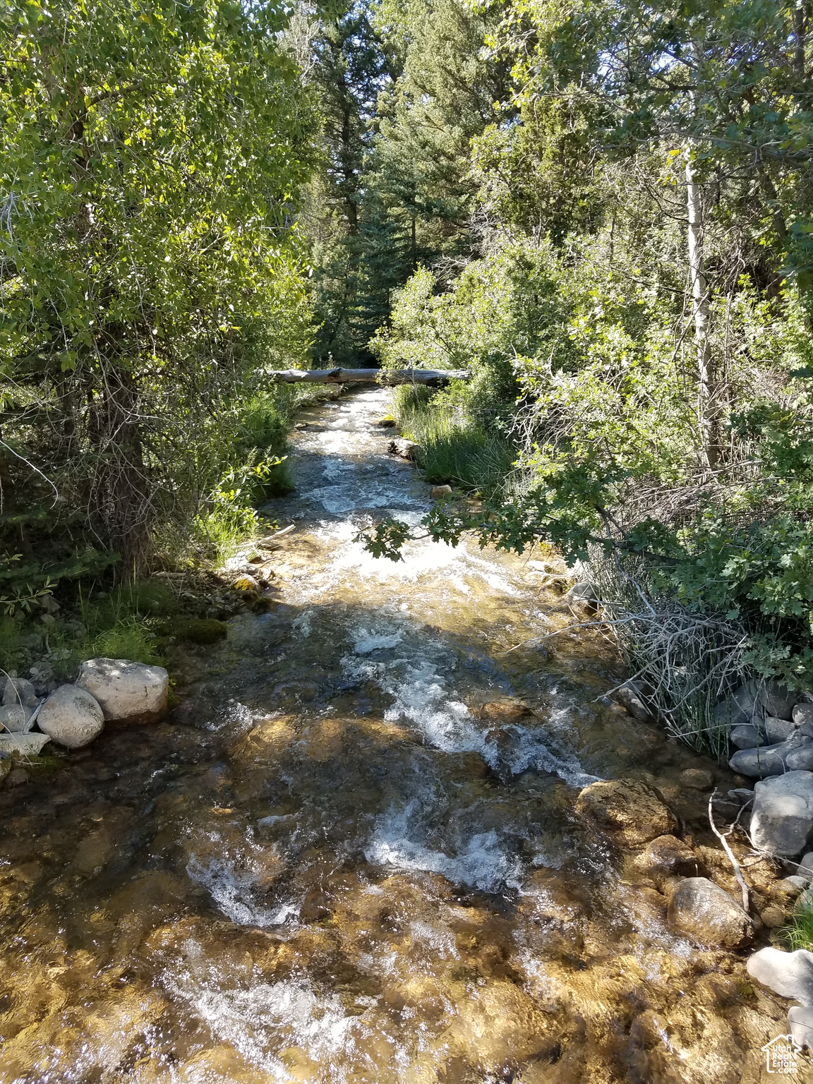 PINE CREEK RANCH - Land