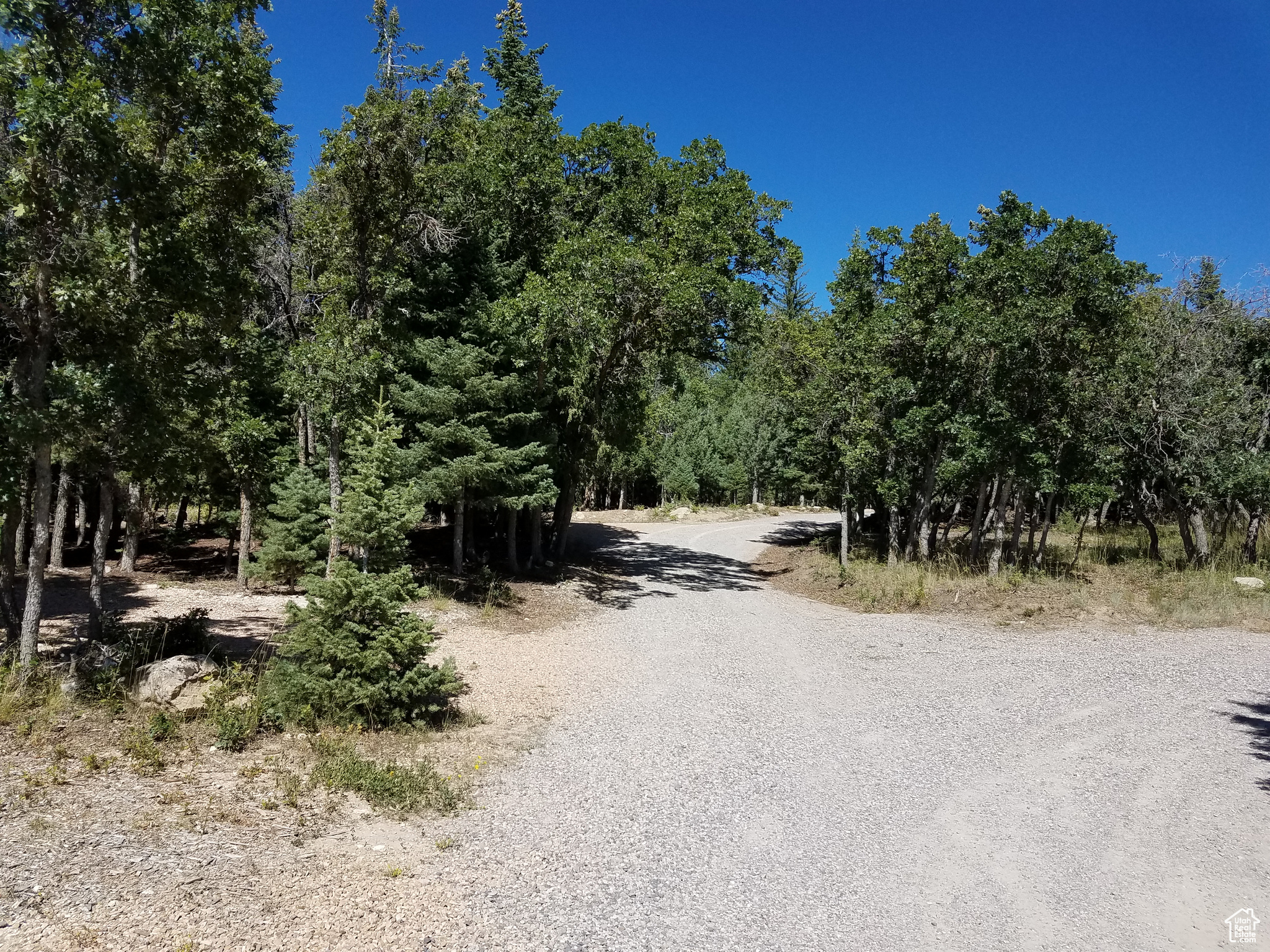 PINE CREEK RANCH - Land