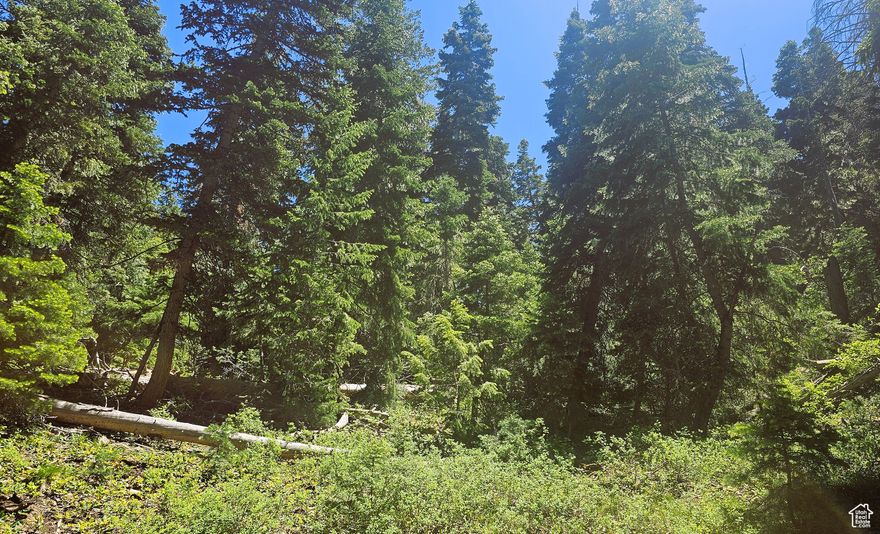Mature Pine Trees cover this lot. Power, culinary water, with views of the Sanpete Valley and Mt. Nebo. Get away to your own mountain retreat and stop fighting the crowds. Located next to the Manti LaSal Mountains in a quiet area on a dead end road in a gated community. You would install propane for gas, a septic system for sewer. Enjoy the deer and turkeys as you relax in the fresh clean mountain air with star filled nights. This cabin community hosts many extras like: 70-acre common area, pavilion for large gatherings, garbage dumpsters, campsites along the trout stream, horse corrals, sand volleyball court, horseshoe pits, groomed roads in the wintertime for access with your snowmobile or ATV, a parking lot that has street lights and plowed in the wintertime. Mt Pleasant with all the small-town amenities is about 10 minutes away with a hospital, grocery and hardware store, indoor swimming pool and even a drive-in theater. A bit over an hour from Utah County. The road is paved to the Pine Creek Ranch main gate. Winter access is via ATV on tracks or snowmobile. Trailers, Campers and RV's are limited to 2 weeks at a time. Elevation is 7,640. MLS map is correct. Google maps & earth are 39.48609, -111.39203. Buyer to verify all information.