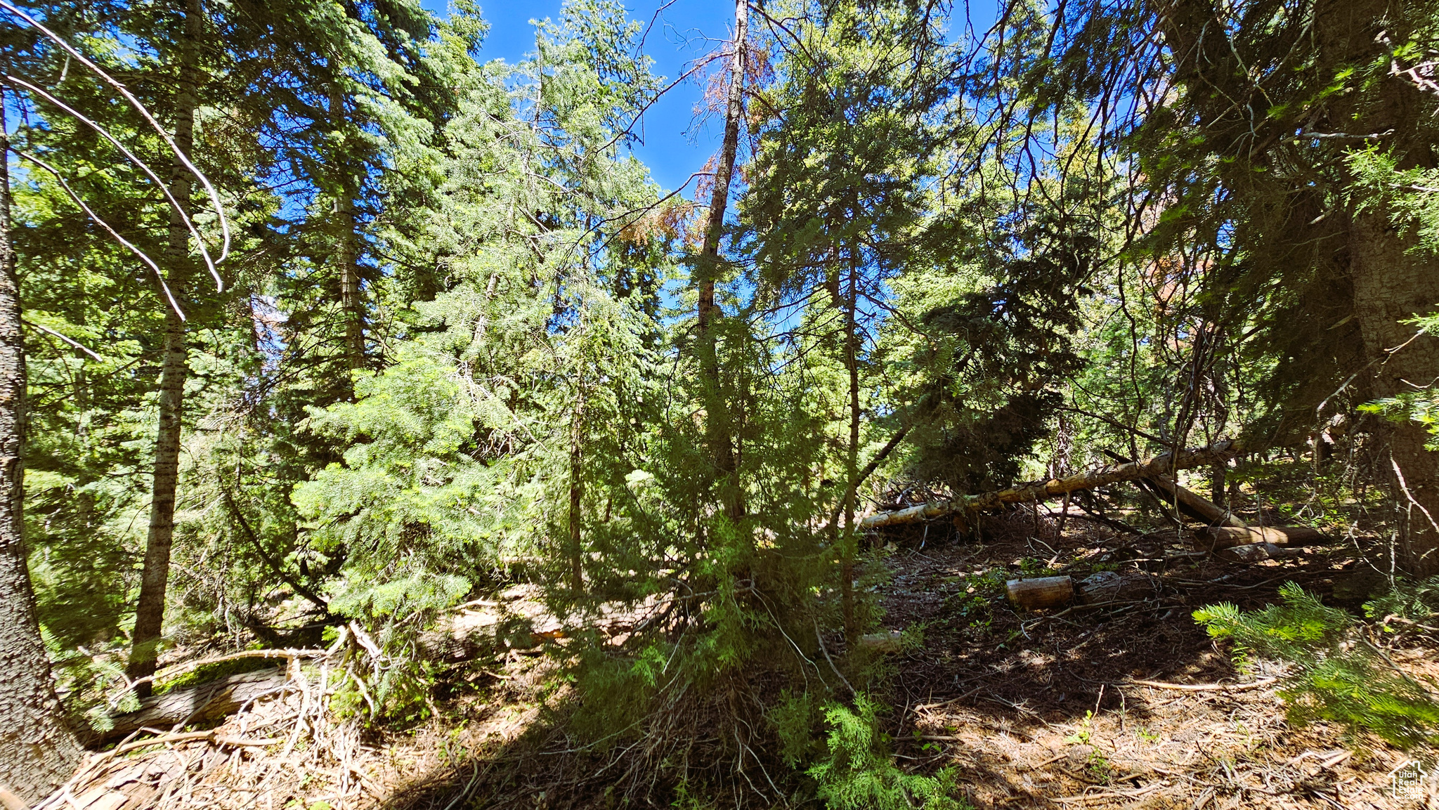 PINE CREEK RANCH - Land