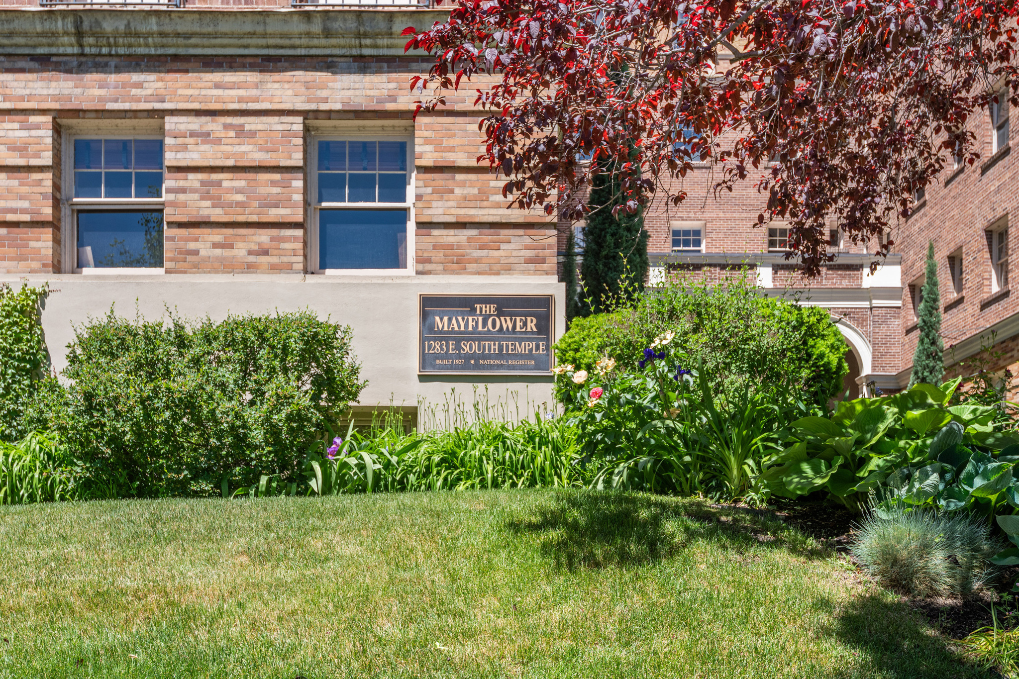 MAYFLOWER - Residential
