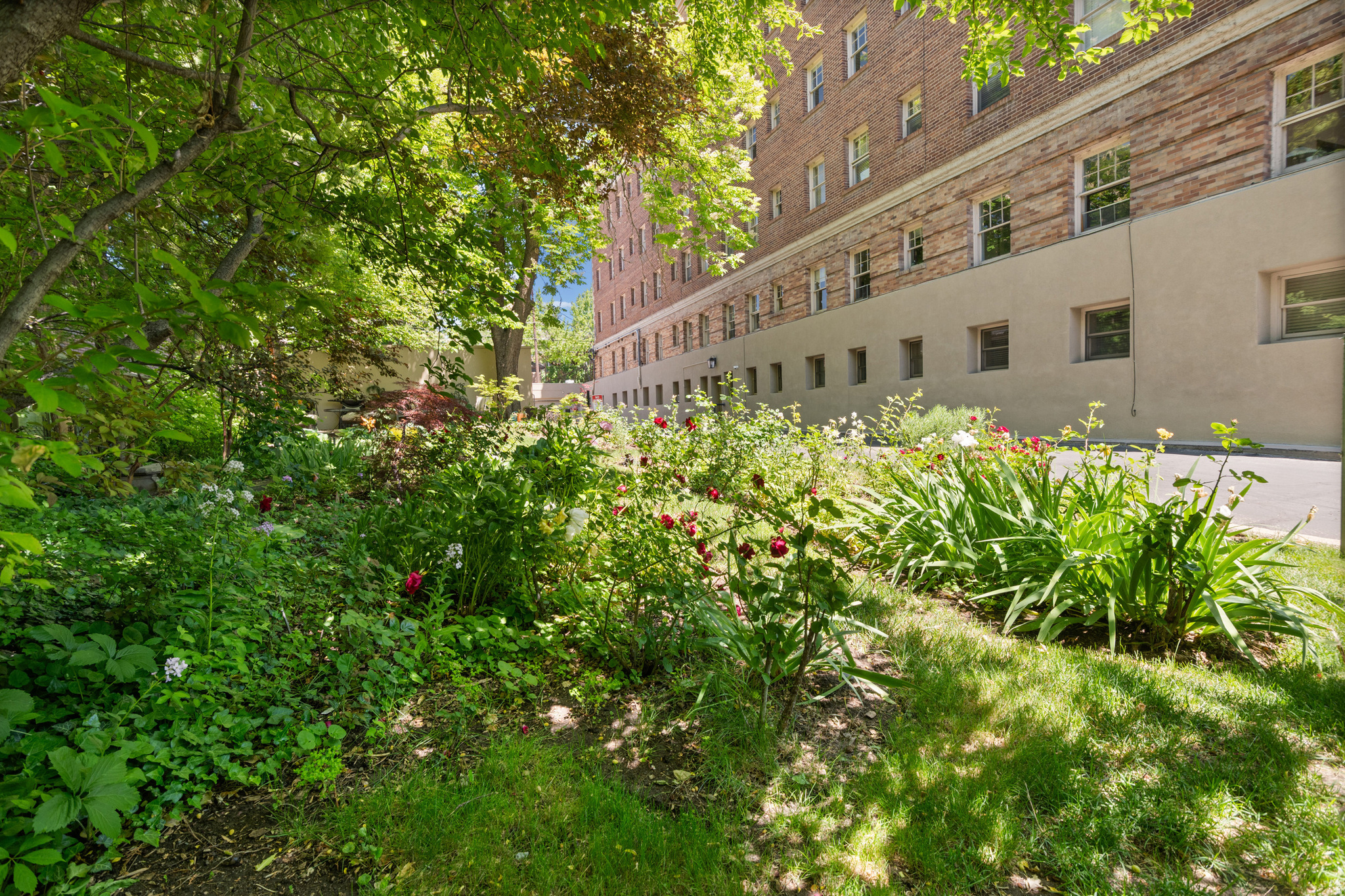 MAYFLOWER - Residential