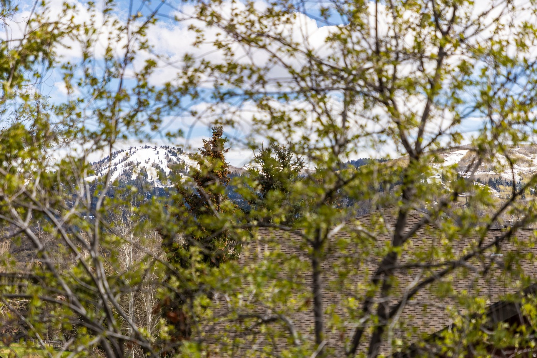 RIDGEVIEW - Residential