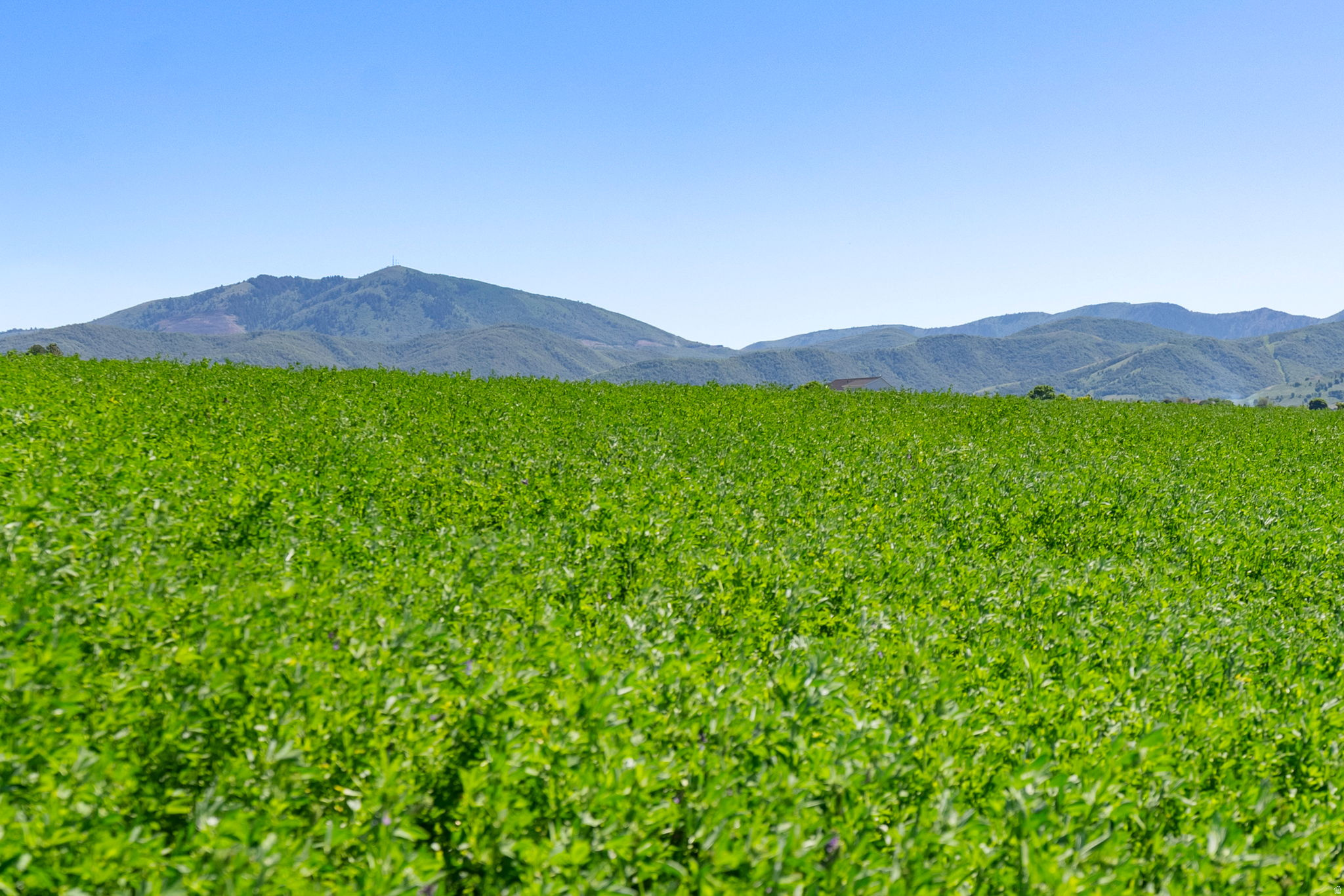 LEGACY RANCH ESTATES - Land