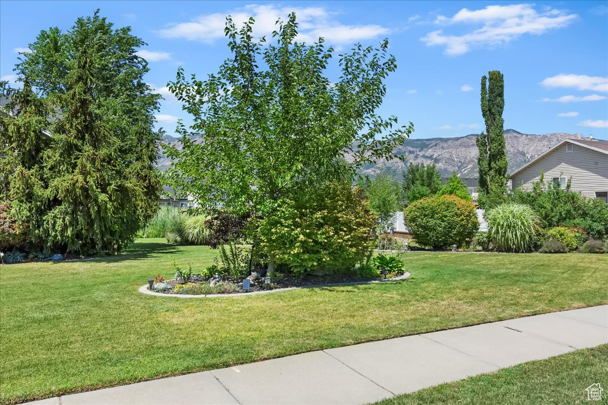 SUMMER FARMS NO. 2 - Residential