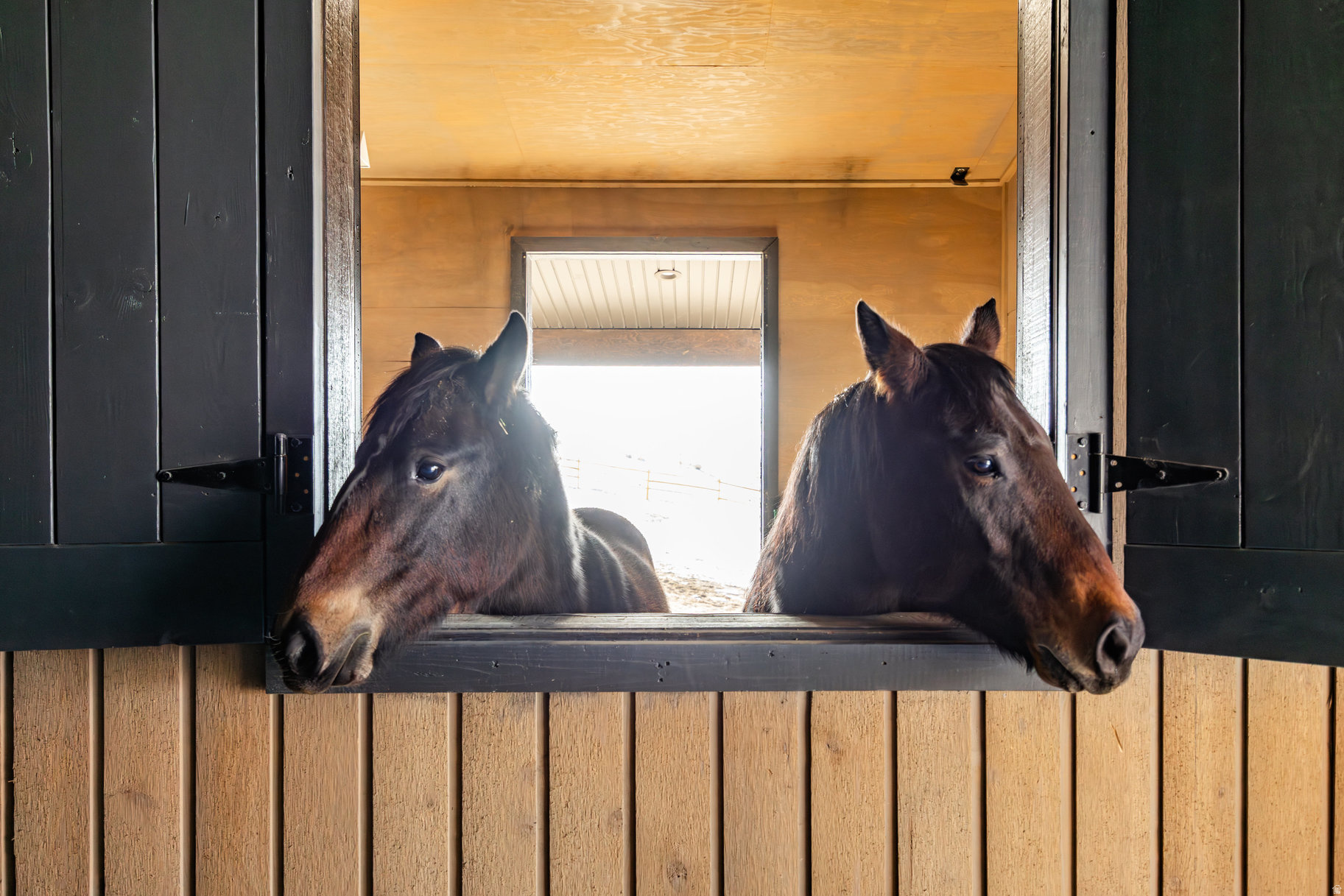 GREENERHILLS - Residential