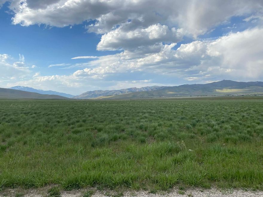 Welcome to Miller Meadows! Come see this beautiful lot perfect for raising  animals and building your dream home. You'll see breathtaking views, and you are surrounded by farms, perfect for rural living! Far enough off the highway that you don't get a lot of highway noise, but close enough that you can get there quickly when you need to go to town. It is 30 minutes to Spanish Fork and a Walmart Neighborhood Market for shopping.  Also just over a half hour from Ephraim and Snow College.   This lot has all the peace and tranquility Sanpete County has to offer but is about as close as you can get to the Wasatch Front and all the conveniences it has to offer.    There will be a well drilled before closing.  The water share has been converted and moved to the property and we are on the well drillers list for late April/early May.  You will receive one acre foot in your well.  The perc test has already been done and passed. There are additional water shares available.  There is power to the lot line.  A transformer will need to be set when you build your home.  Seller will give a $10,000 credit toward the power with the sale.   Lots 1, 2, and 3 are also available to purchase. MLS numbers: