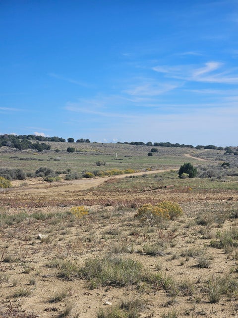 Vacant Land For Sale - Land<br/> Duchesne County, Duchesne, UT 84021