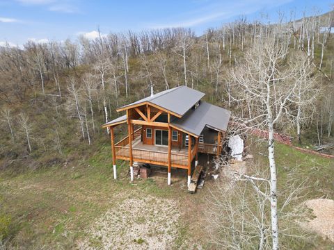 Tiny photo for 163 MOUNT AERIE UPPER LOOP, Oakley, UT 84055 (MLS # 2153386)
