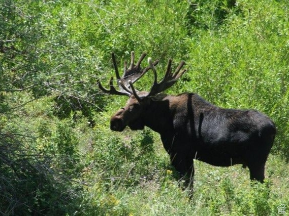 SUNRIDGE - Residential