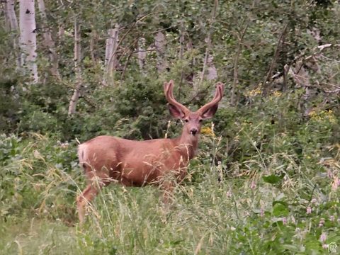 Tiny photo for 8153 JOHN FREMONT DR #H212, Huntsville, UT 84317 (MLS # 2095304)