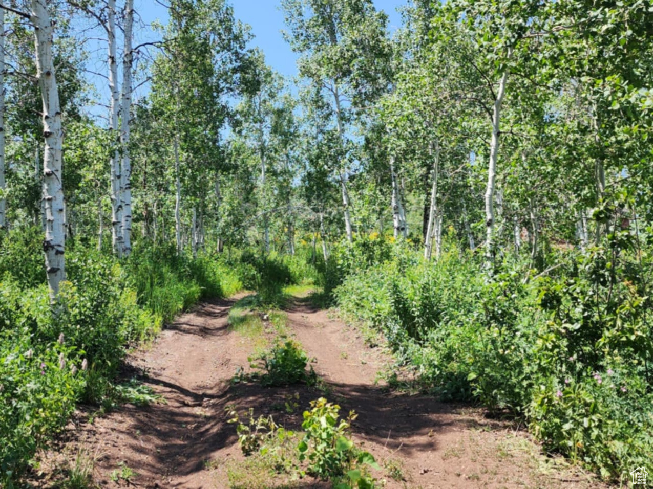 SUNRIDGE - Residential