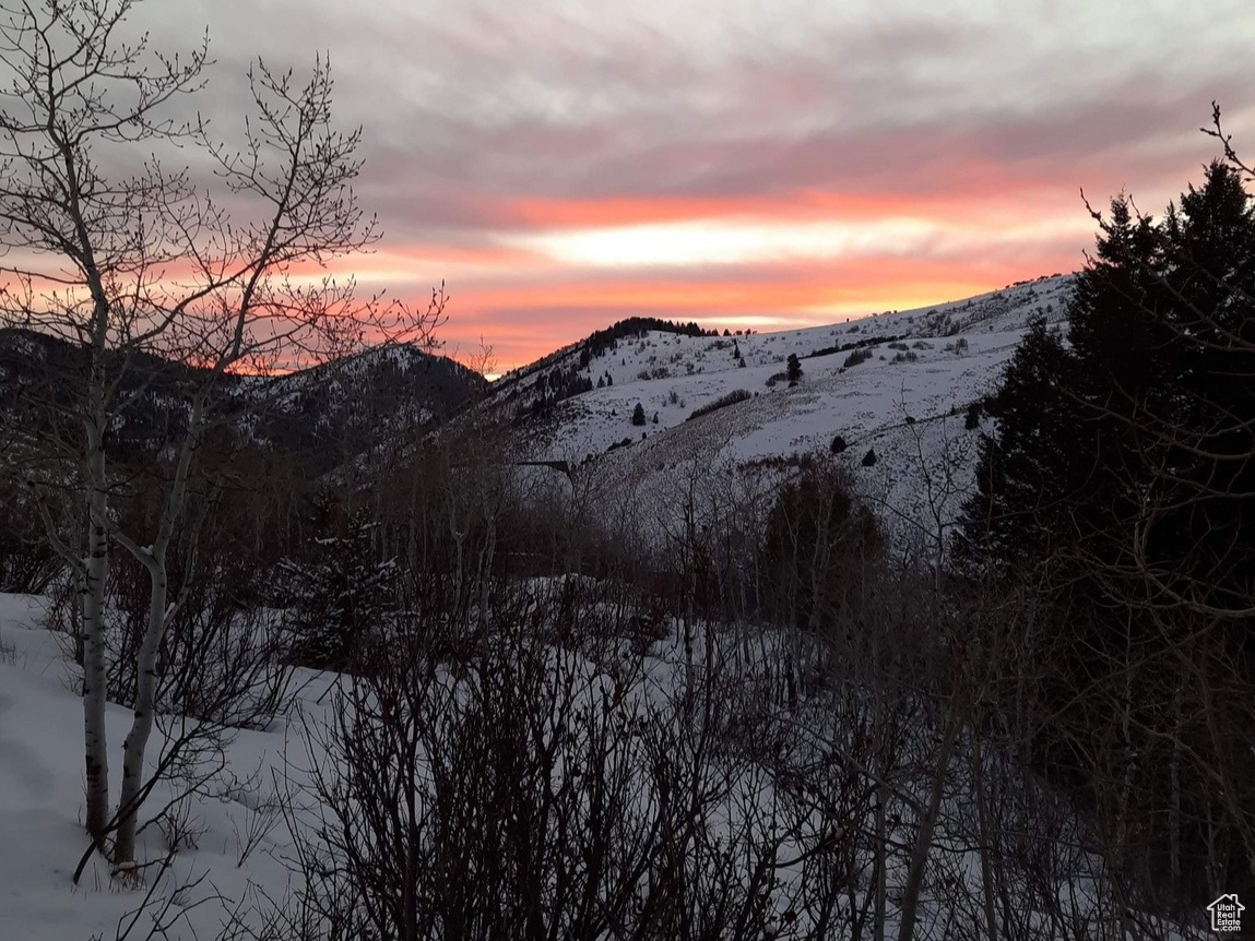 SUNRIDGE - Residential