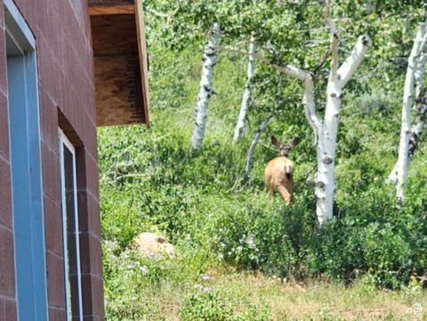 Tiny photo for 8153 JOHN FREMONT DR #H212, Huntsville, UT 84317 (MLS # 2095304)