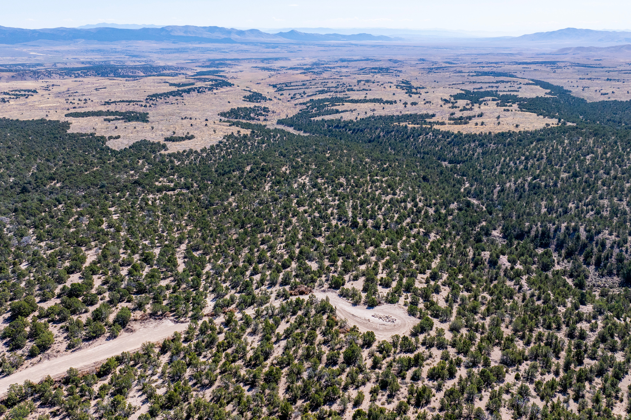 SAHARA SUNRISE - Land