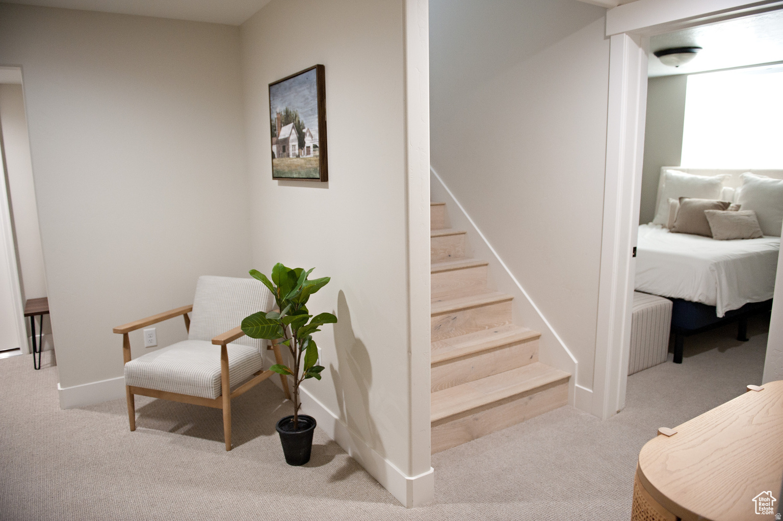 THE MEADOWS AT THE HOMESTEADS - Residential