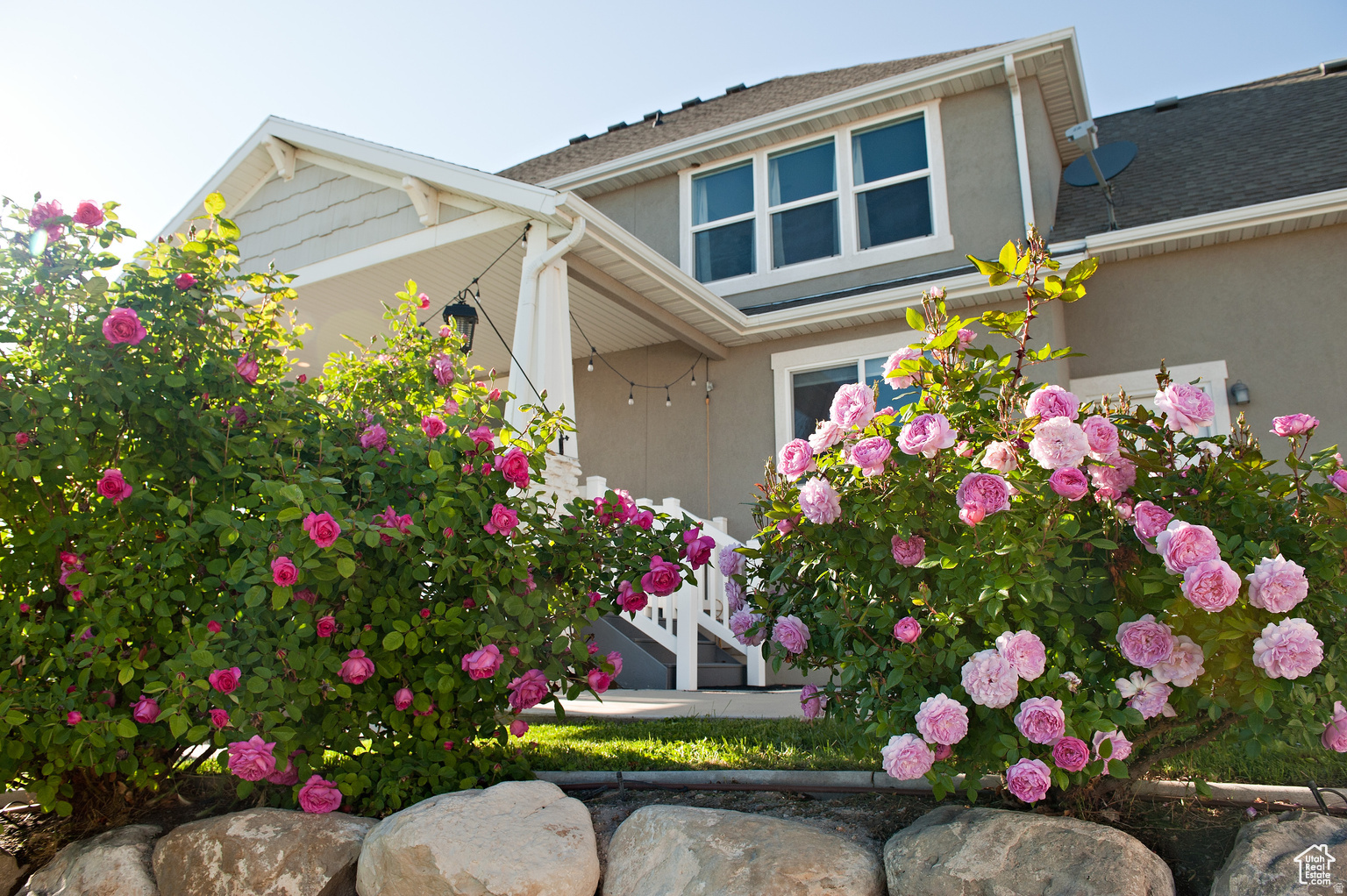 THE MEADOWS AT THE HOMESTEADS - Residential